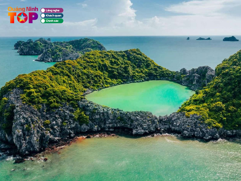 Kham-pha-dao-mat-rong-quangninhtoplist