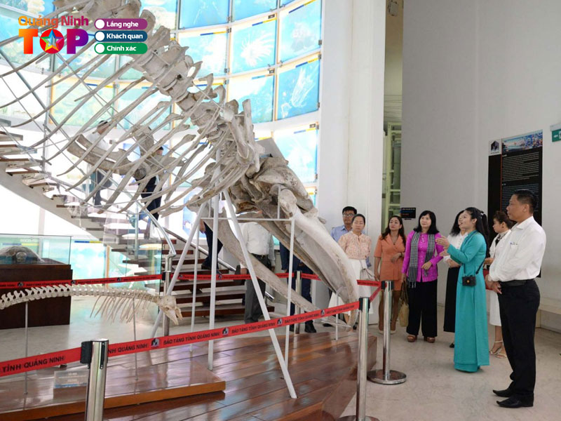 Kham-pha-kho-tang-hien-vat-vo-gia1-quangninhtoplist