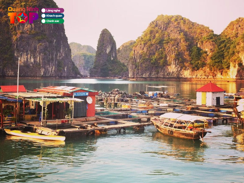 Khi-nao-la-thoi-diem-ly-tuong-de-tham-lang-chai-quangninhtoplist