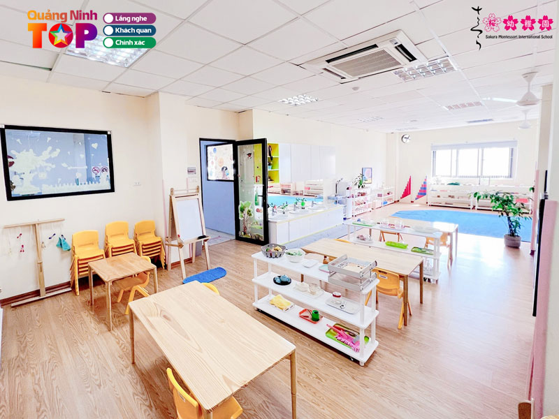 Sakura-montessori-quangninhtoplist