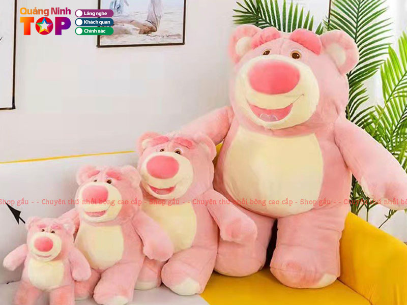 Shop-gau-bong-meo-nhim-quangninhtoplist