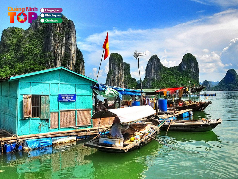 Tham-quan-nha-be-mua-hai-san-tuoi-song-quangninhtoplist