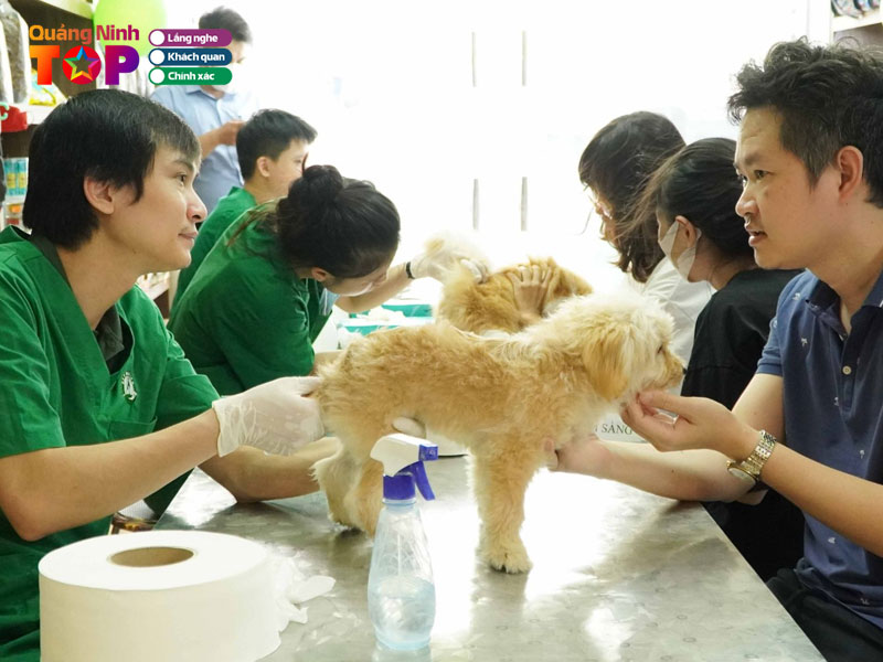 Benh-vien-thu-y-pethealth-quangninhtoplist