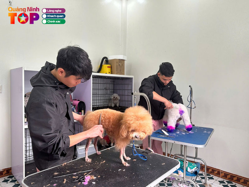 Benh-vien-thu-y-vetcenter-quangninhtoplist