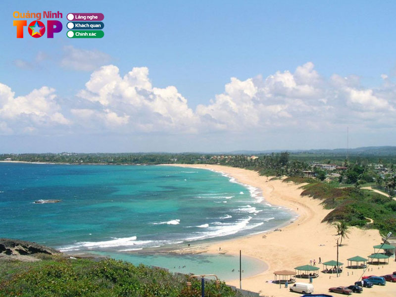 Doi-net-gioi-thieu-ve-dao-tra-co-quangninhtoplist