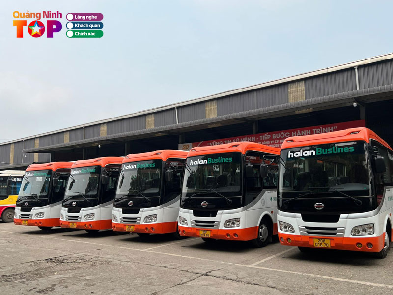 Ha-lan-transport-quangninhtoplist