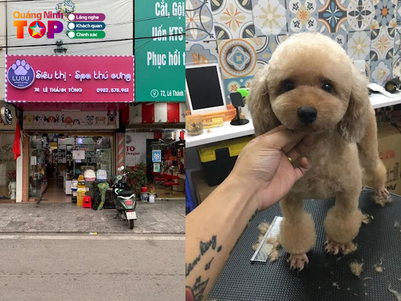 Lubu-pet-store-quangninhtoplist