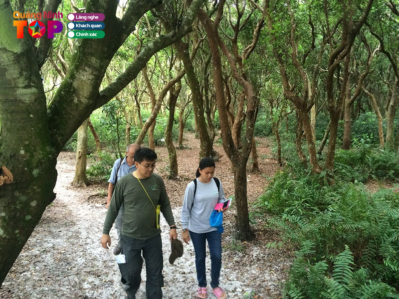 Nhung-dieu-ban-nen-ban-chuan-bi-truoc-khi-den-quangninhtoplist