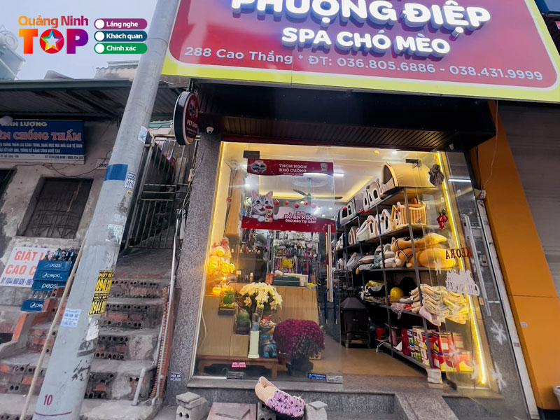 Pet-shop-phuong-diep-quangninhtoplist