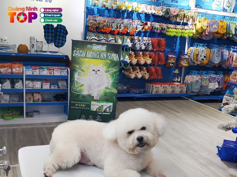 Petcare-quangninhtoplist