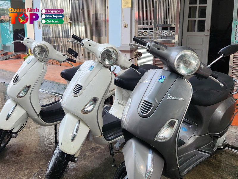 Tan-truong-phat-travel-quangninhtoplist