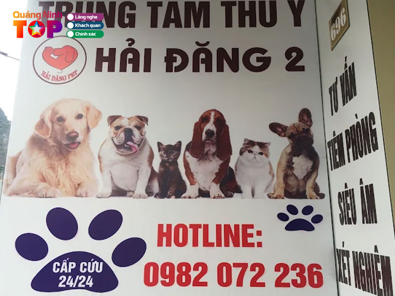 Thu-y-hai-dang-quangninhtoplist