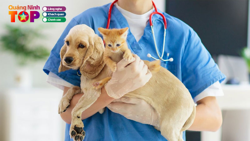 Top-10-benh-vien-thu-y-o-quang-ninh-cham-soc-thu-cung-uy-tin-quangninhtoplist