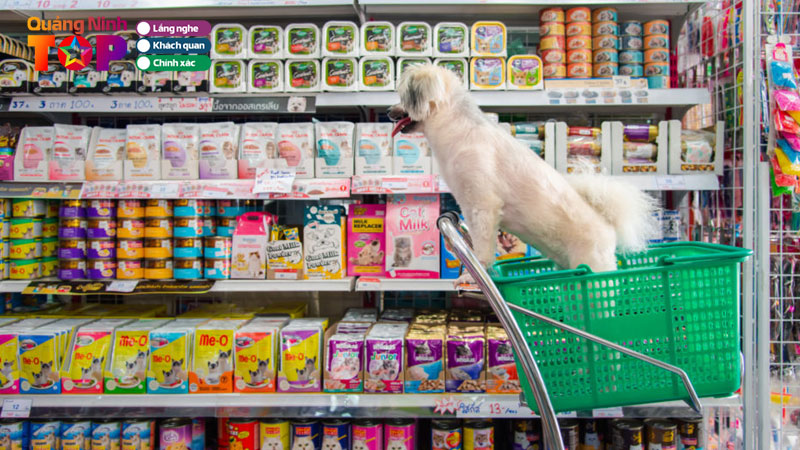 Top-10-shop-thu-cung-tai-quang-ninh-nhieu-mau-ma-chat-luong-quangninhtoplist