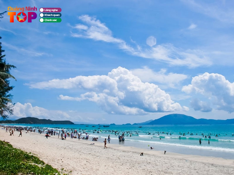 Bai-bien-tra-co-quangninhtoplist