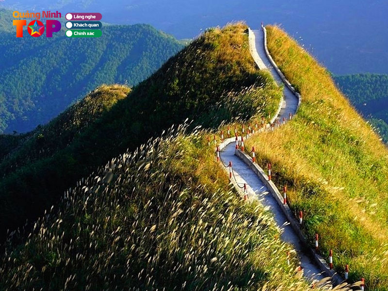 Binh-lieu-quangninhtoplist