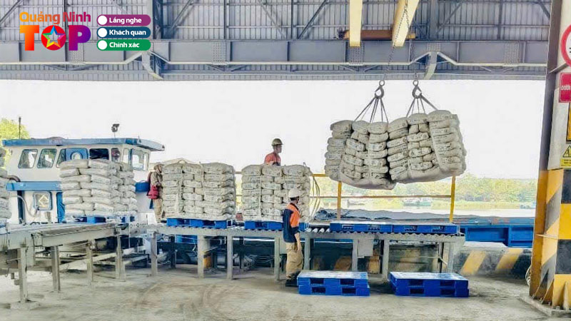 Cong-ty-co-phan-xi-mang-vicem-ha-long5-quangninhtoplist