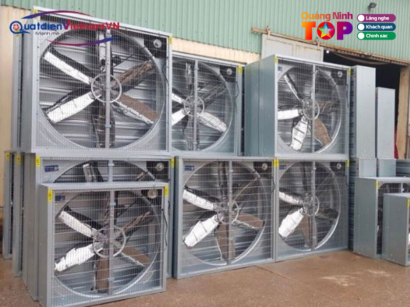 Cong-ty-tnhh-dau-tu-thuong-mai-hung-duc-phat-quangninhtoplist