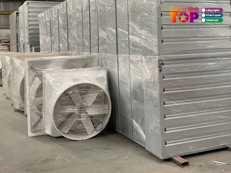 Cong-ty-tnhh-tam-sang-viet-nam-quangninhtoplist