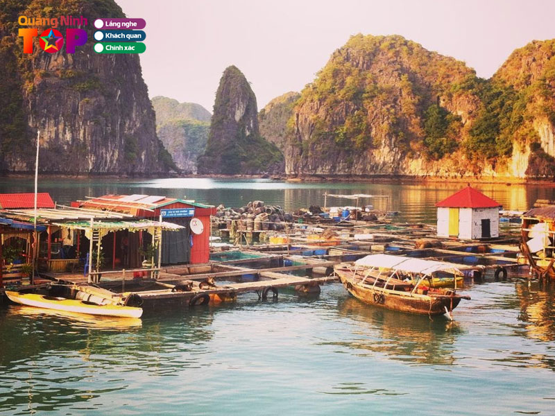 Kinh-nghiem-ban-nen-luu-lai-truoc-khi-den-quangninhtoplist