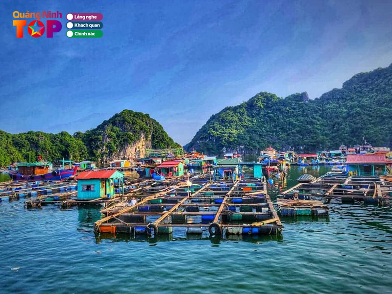 Lang-chai-cua-van-quangninhtoplist