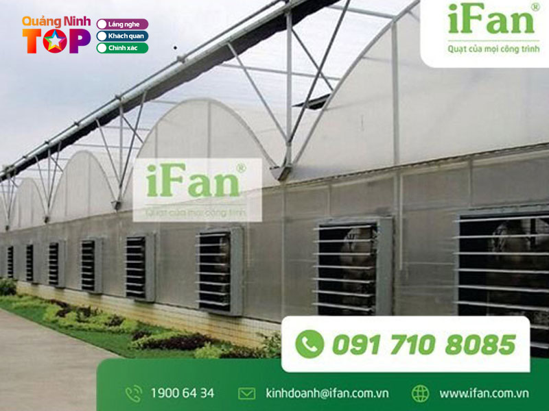 Quat-cong-nghiep-ifan-quangninhtoplist