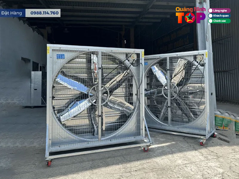 Quat-phu-dat-vuong-quangninhtoplist