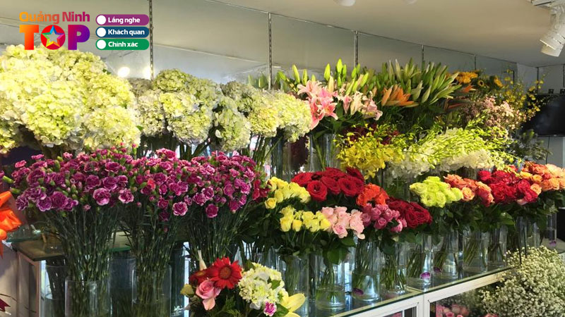 3-shop-hoa-tuoi-o-hai-ha-quang-ninh-uy-tin-da-dang-mau-ma-quangninhtoplist