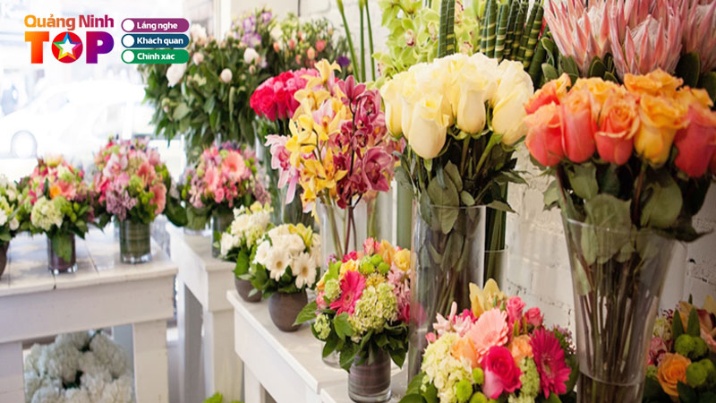 5-cua-hang-hoa-tuoi-o-dam-ha-quang-ninh-da-dang-tinh-te-quangninhtoplist