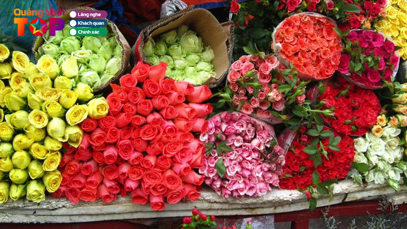 5-shop-hoa-tuoi-o-quang-yen-quang-ninh-dep-ship-tan-noi-quangninhtoplist