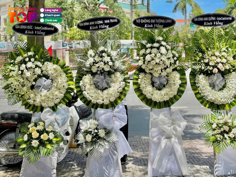 Byby-flower-quangninhtoplist