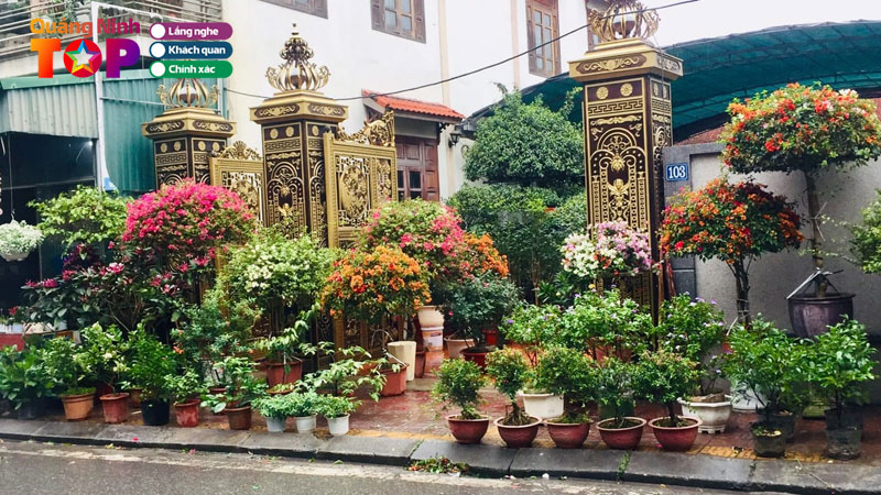 Cay-canh-huyen-tam-anh-quang-ninh5-quangninhtoplist