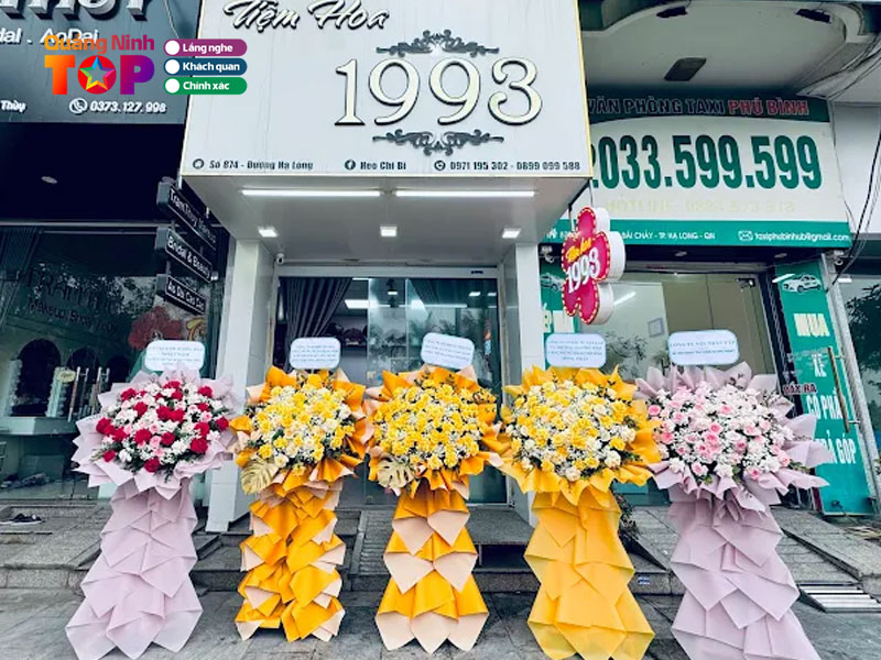 Hoa-tuoi-ha-long-1993-quangninhtoplist