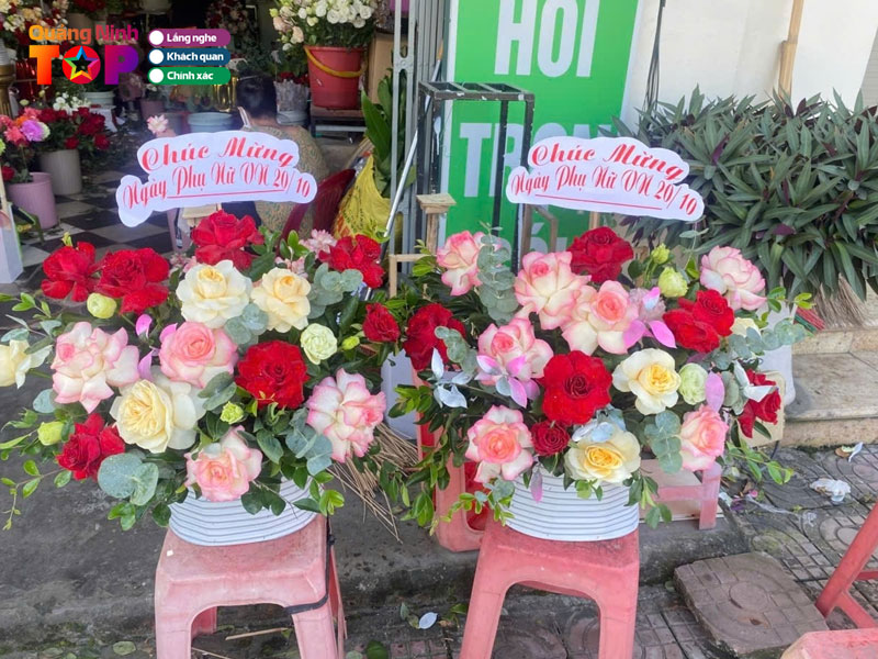 Hoa-tuoi-hoa-lua-mai-phuong-quangninhtoplist