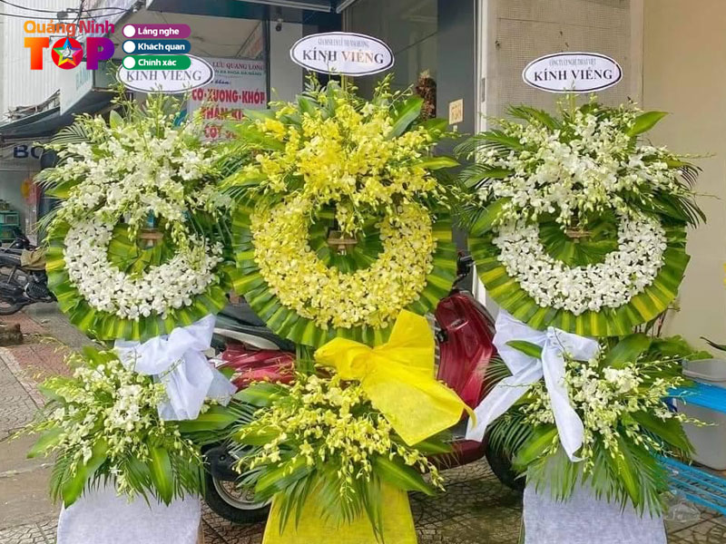 Hoa-tuoi-kim-lien-quangninhtoplist