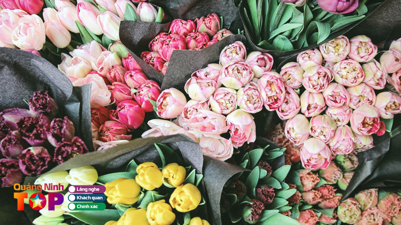 Hoa-tuoi-o-binh-lieu-quang-ninh-4-tiem-hoa-uy-tin-dep-nhat-quangninhtoplist