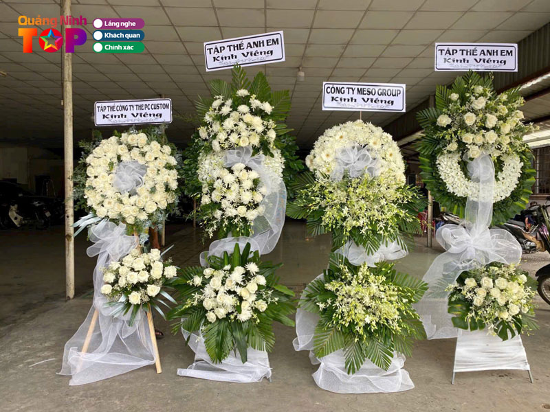 Hoa-tuoi-quang-ninh-quangninhtoplist