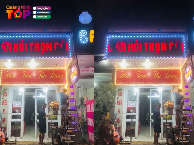 Hoa-tuoi-thu-dung-quangninhtoplist