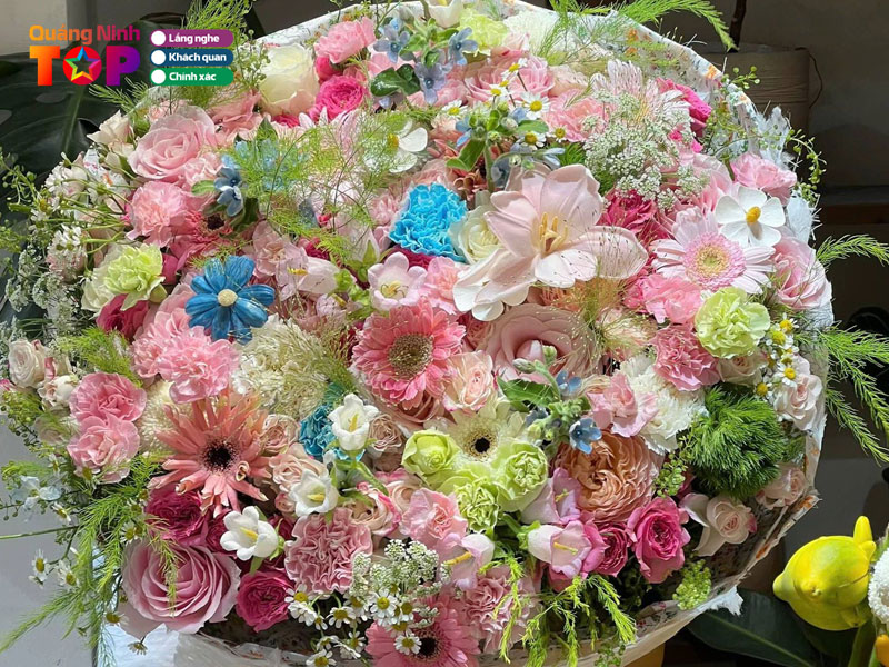 Losu-flowers-quangninhtoplist