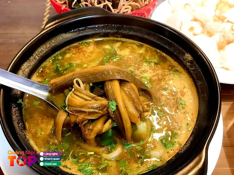 Luon-olan-quangninhtoplist