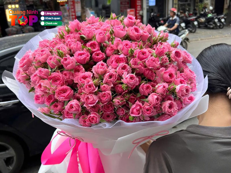 May-flower-quangninhtoplist