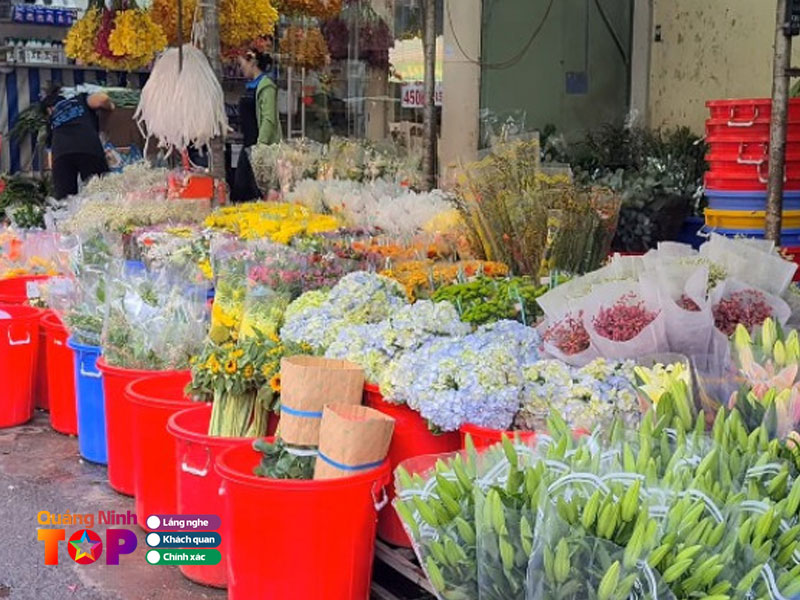 Shop-hoa-thanh-an-quangninhtoplist