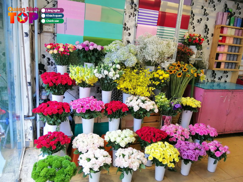 Shop-hoa-tuoi-co-to-quang-ninh-quangninhtoplist