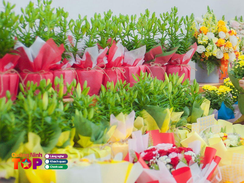 Siin-store-quangninhtoplist