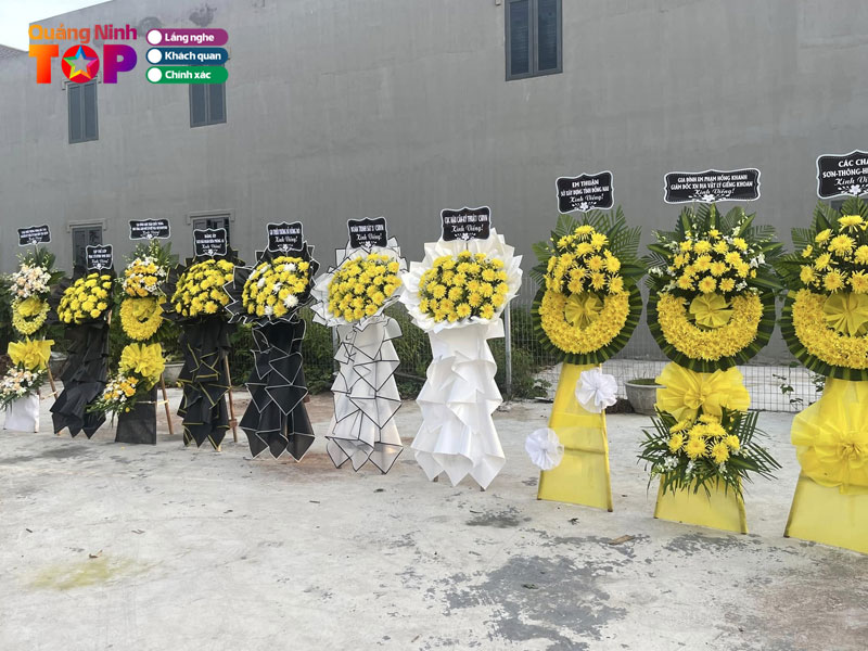 Sunflower-quangninhtoplist