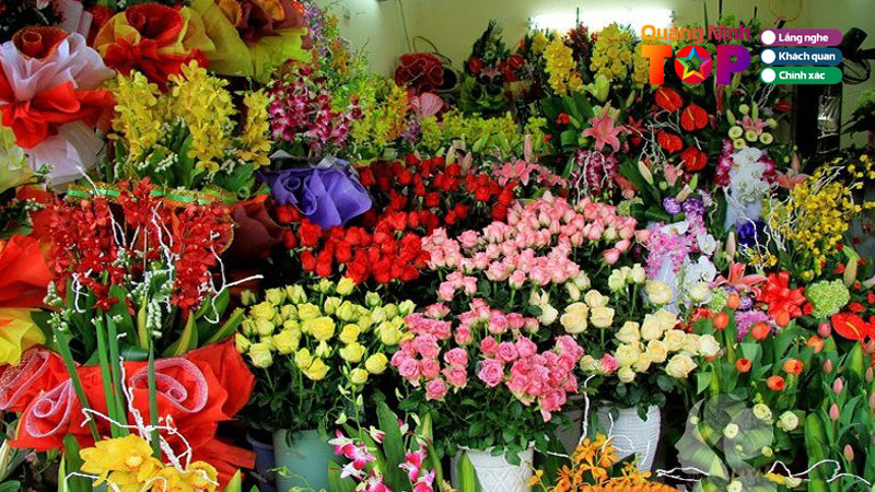 Top-10-dia-chi-mua-hoa-tuoi-tai-co-to-quang-ninh-dep-gia-re-quangninhtoplist