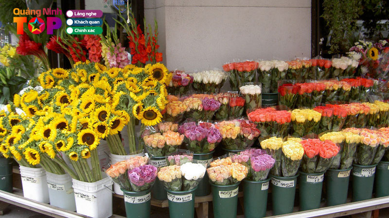 Top-10-tiem-hoa-tuoi-o-uong-bi-quang-ninh-uy-tin-gia-re-quangninhtoplist