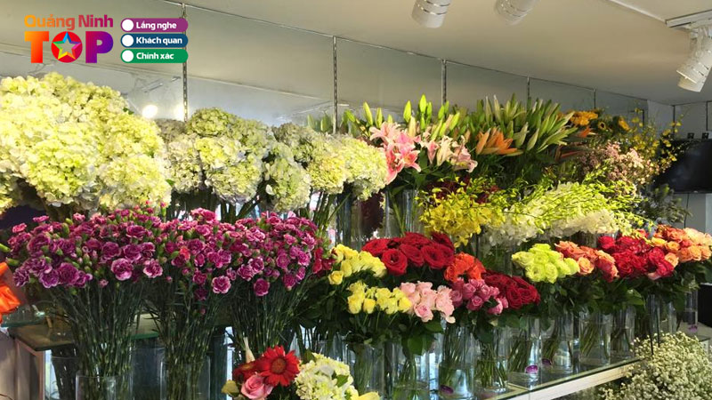 Top-5-tiem-hoa-tuoi-o-dong-trieu-quang-ninh-dep-chat-luong-quangninhtoplist