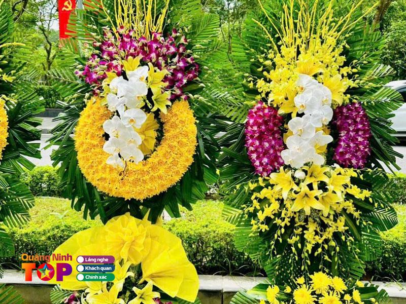 Tuyet-flower-quangninhtoplist