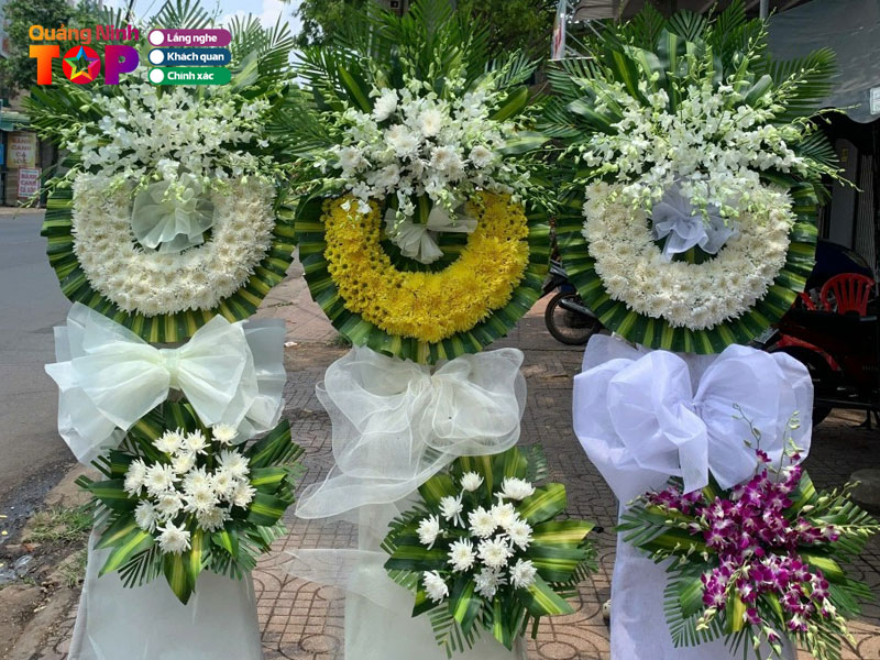 Tuyet-flower-quangninhtoplist